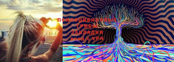 МДМА Белокуриха