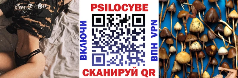 Псилоцибиновые грибы мицелий  Окуловка 